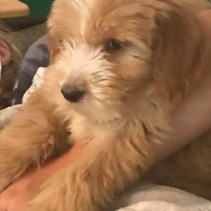 Meet your Posher, Jamie